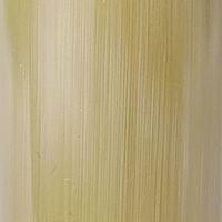 オランダ水牛（純白）